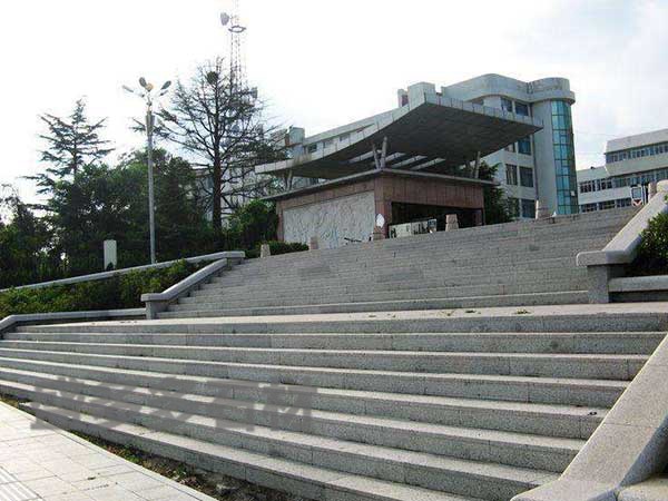 案例(li)展示(shi) 