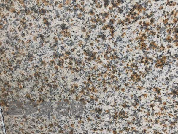 黃繡(xiu)石光面(mian)