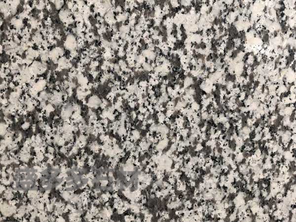 大(da)白花(hua)光面(mian)