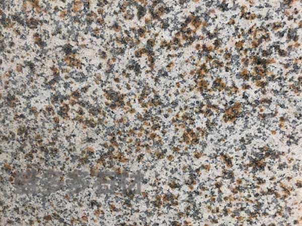 黃繡(xiu)石荔枝面(mian)