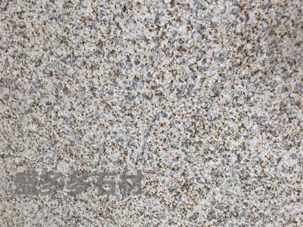 黃金(jin)麻荔枝面(mian)